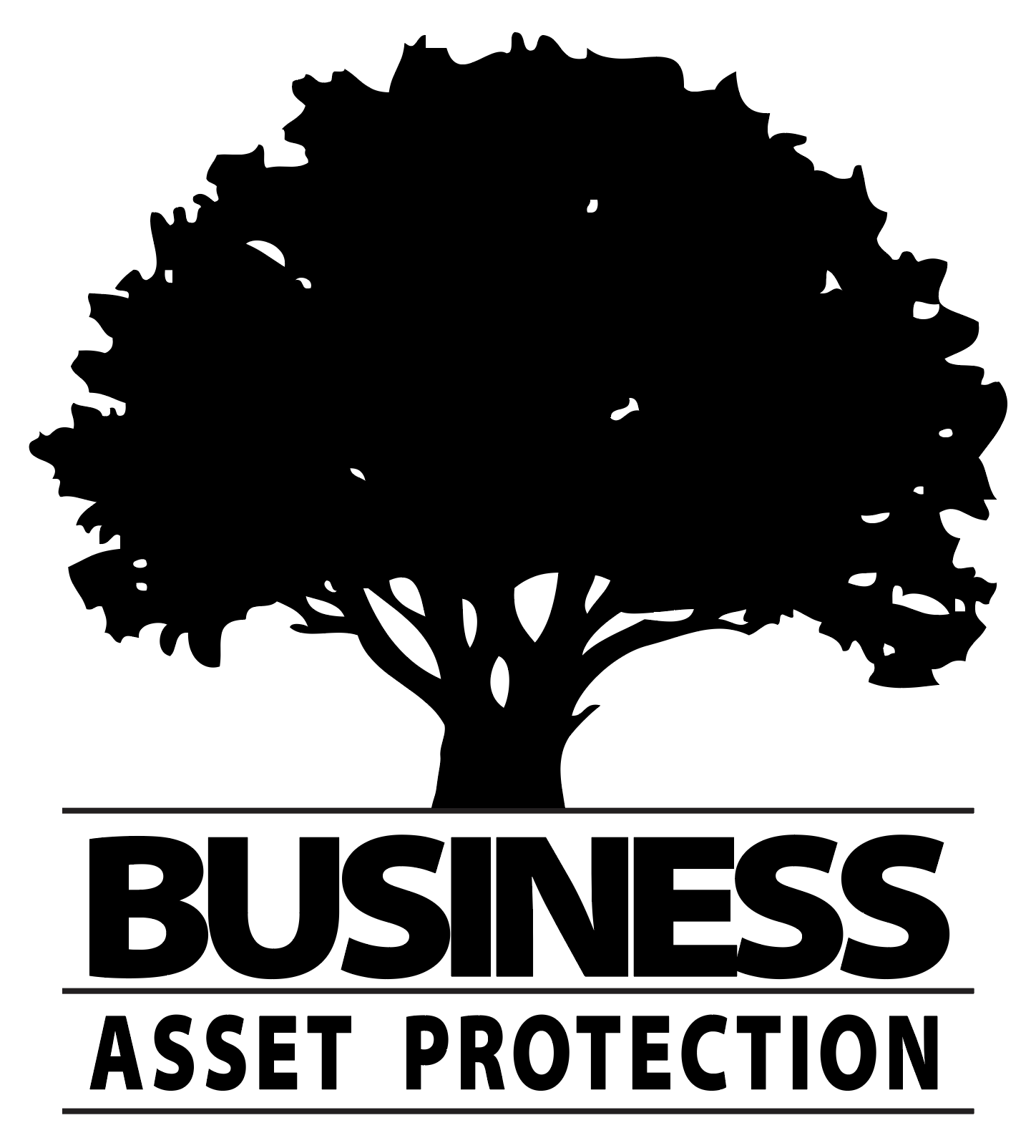 Business Asset Protection